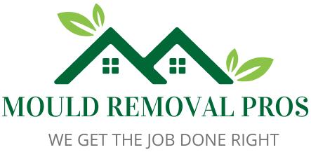 Mould Removal Pros Logo